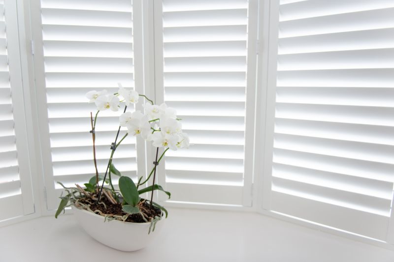 Shutters Replacement in Boulder, CO